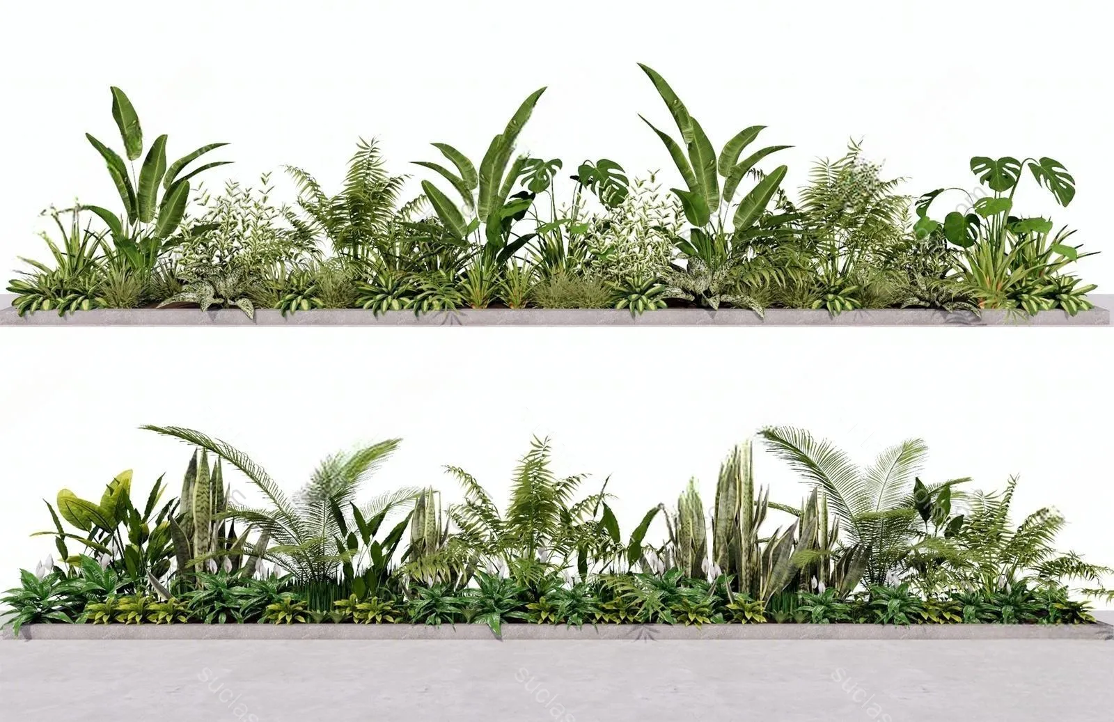 园林景观植物组合灌木花丛花卉观赏生态花草绿植搭配 ID:178872 八宝模型库 - PB3智能构件下载